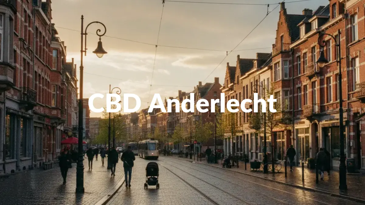 CBD Anderlecht - Acheter du CBD à Anderlecht
