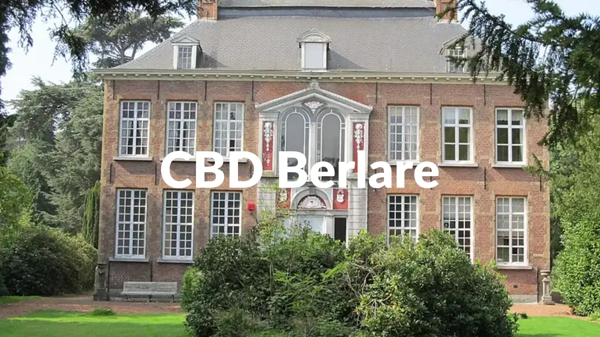 CBD Berlare - Acheter du CBD à Berlare