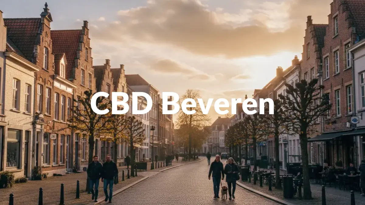 CBD Beveren - Acheter du CBD à Beveren