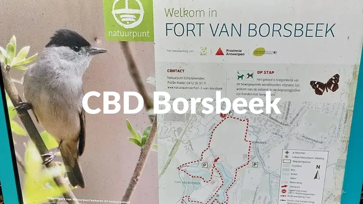 CBD Borsbeek - Acheter du CBD à Borsbeek