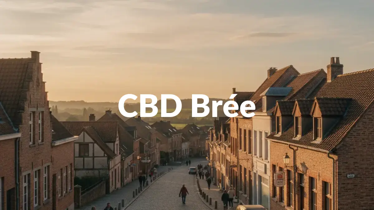 CBD Brée - Acheter du CBD à Brée