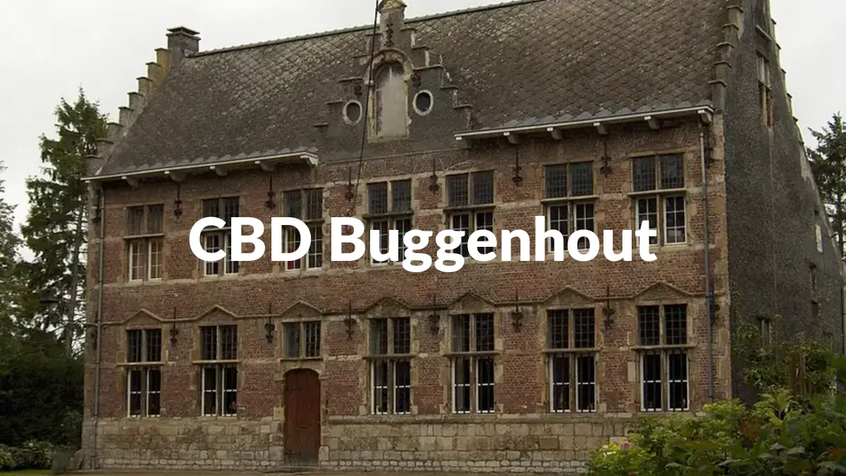 CBD Buggenhout - Acheter du CBD à Buggenhout