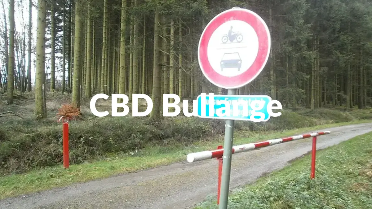 CBD Bullange - Acheter du CBD à Bullange