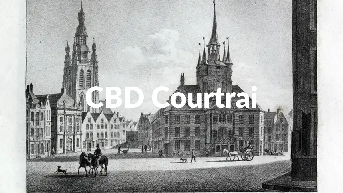 CBD Courtrai - Acheter du CBD à Courtrai