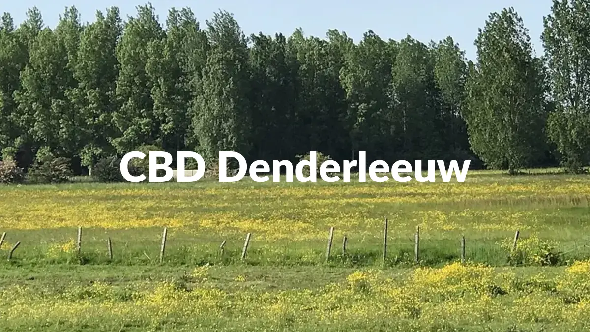 CBD Denderleeuw - Acheter du CBD à Denderleeuw