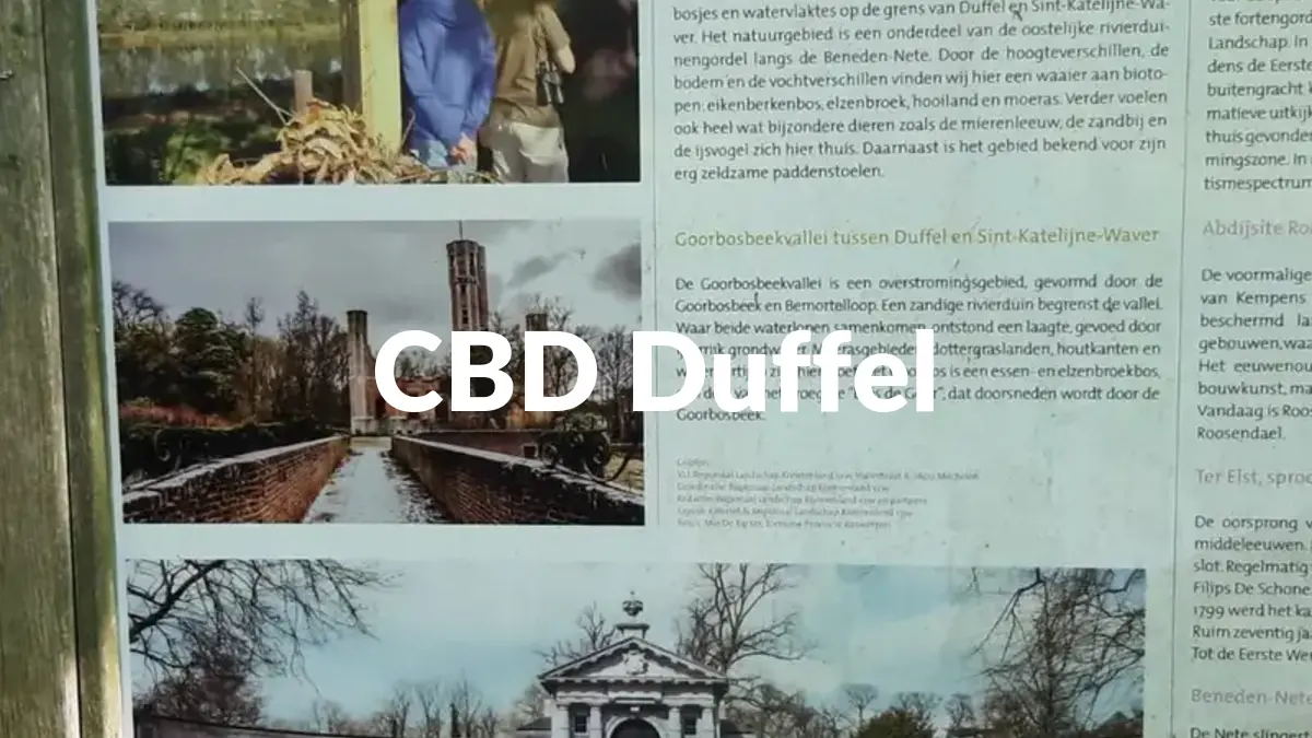 CBD Duffel - Acheter du CBD à Duffel