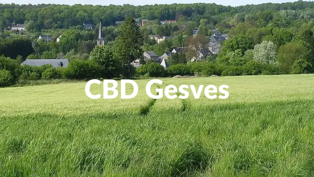 CBD Gesves - Acheter du CBD à Gesves