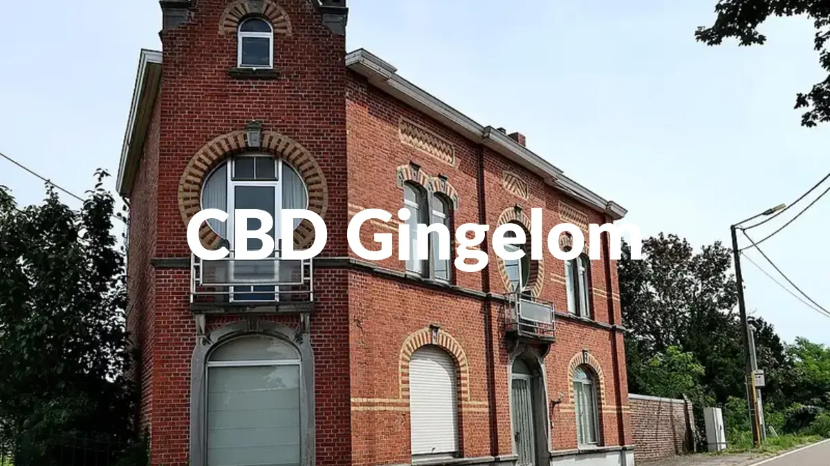 CBD Gingelom - Acheter du CBD à Gingelom