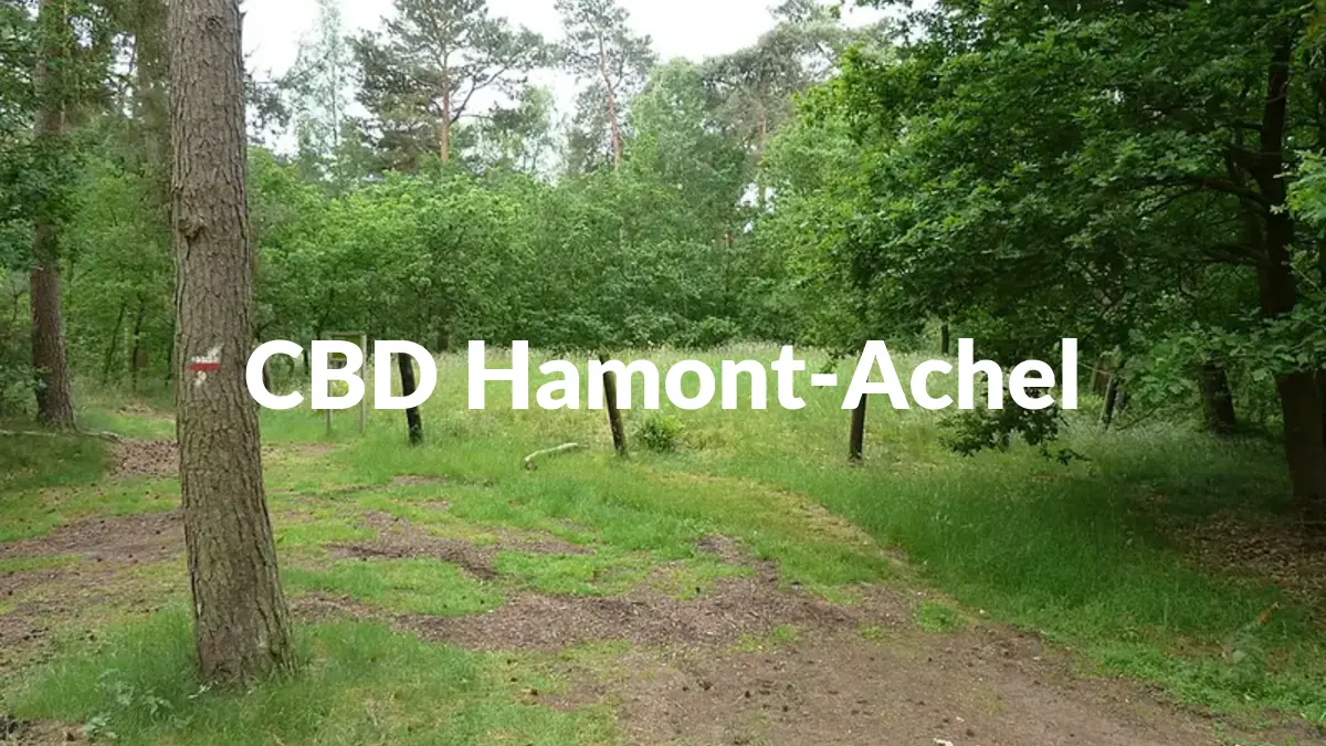 CBD Hamont-Achel - Acheter du CBD à Hamont-Achel