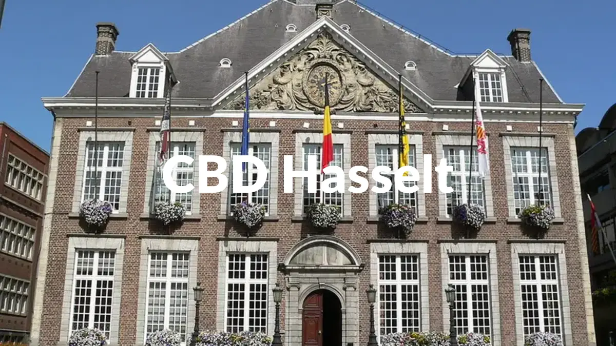 CBD Hasselt - Acheter du CBD à Hasselt