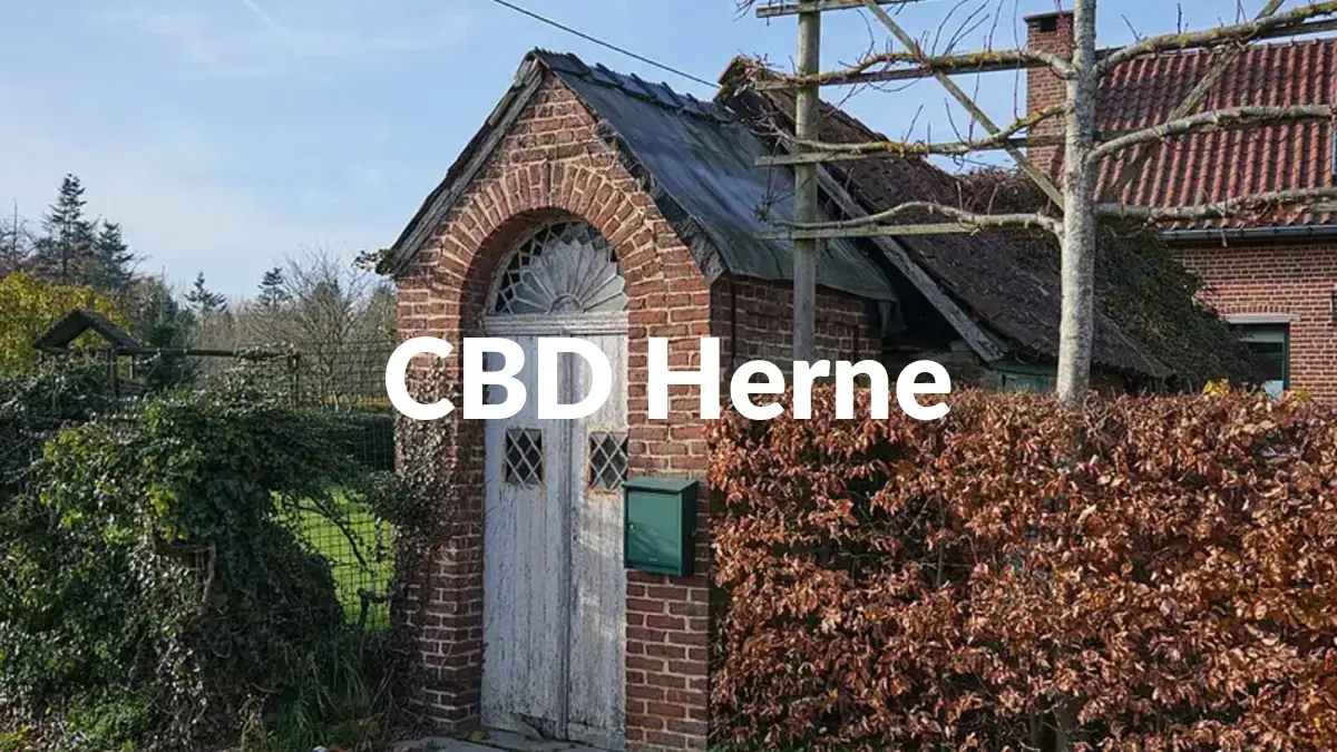 CBD Herne - Acheter du CBD à Herne