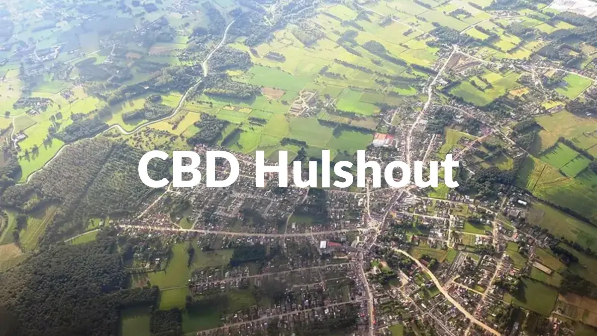CBD Hulshout - Acheter du CBD à Hulshout