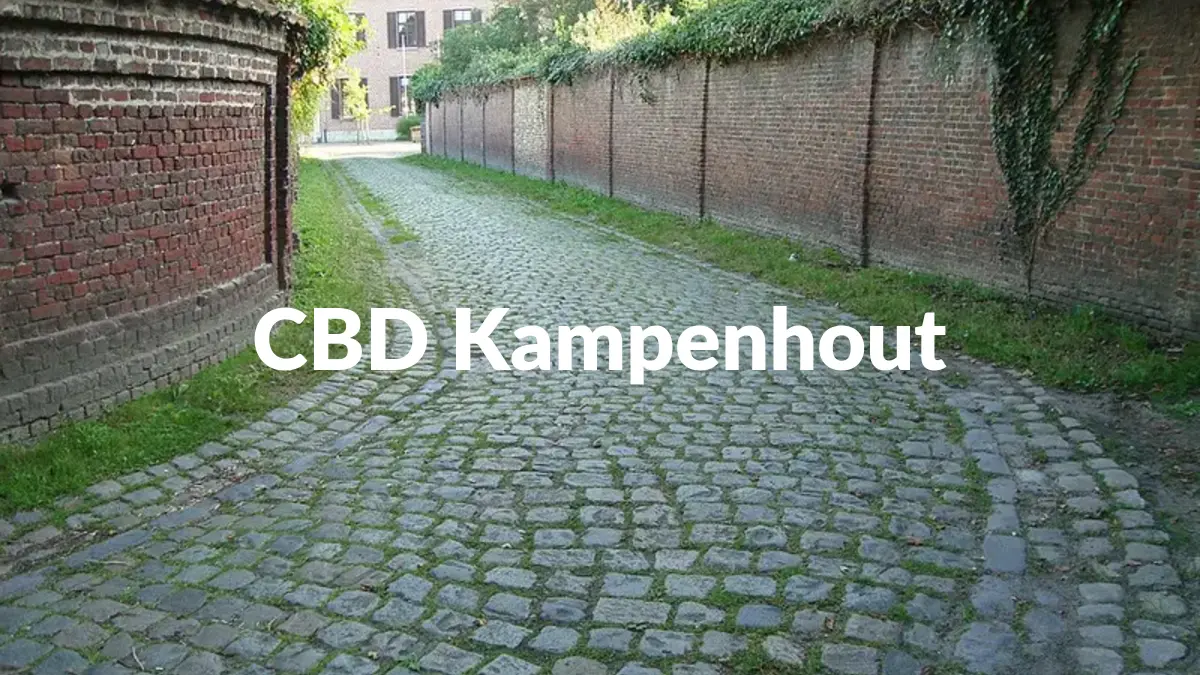 CBD Kampenhout - Acheter du CBD à Kampenhout