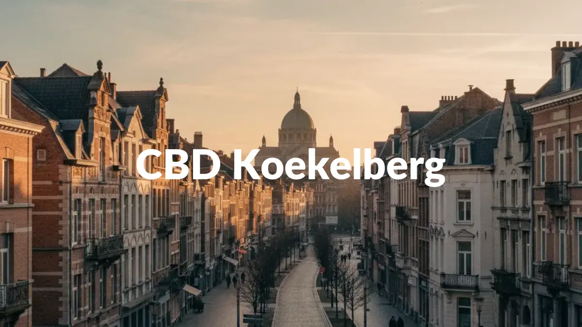 CBD Koekelberg - Acheter du CBD à Koekelberg