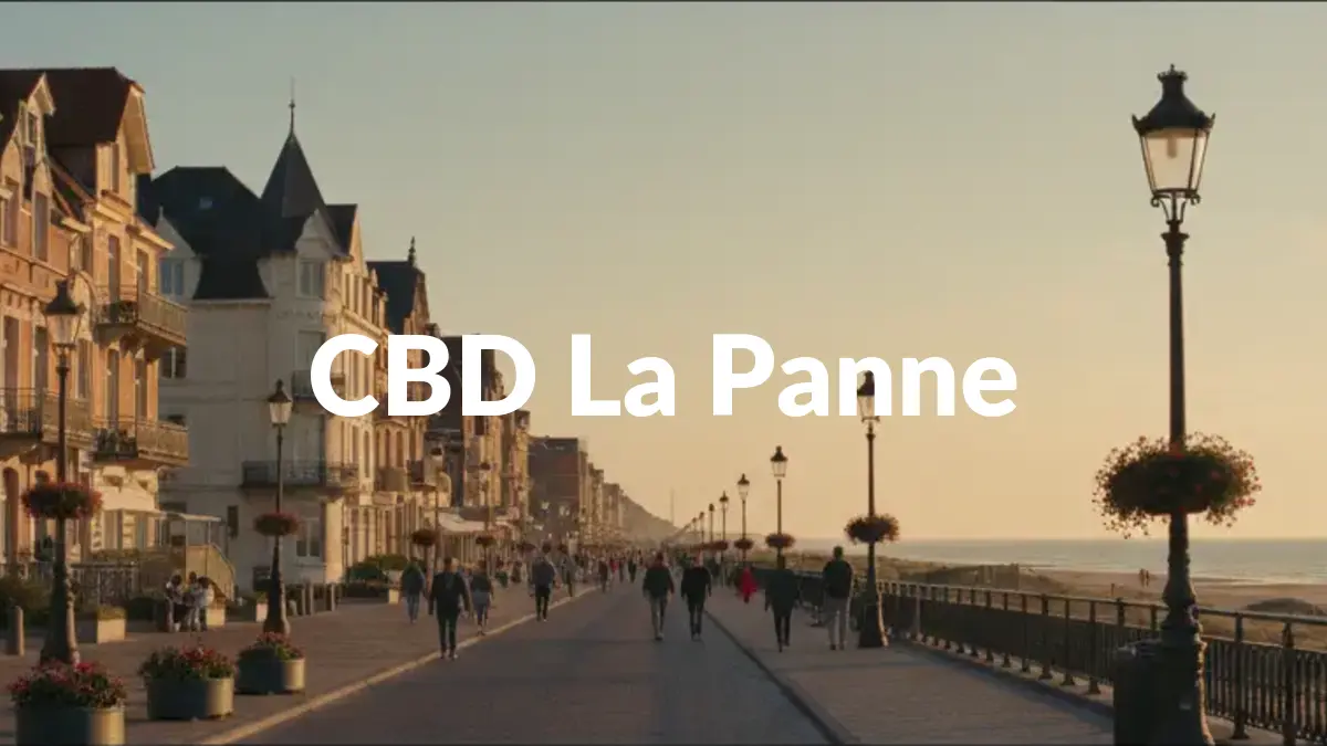 CBD La Panne - Acheter du CBD à La Panne