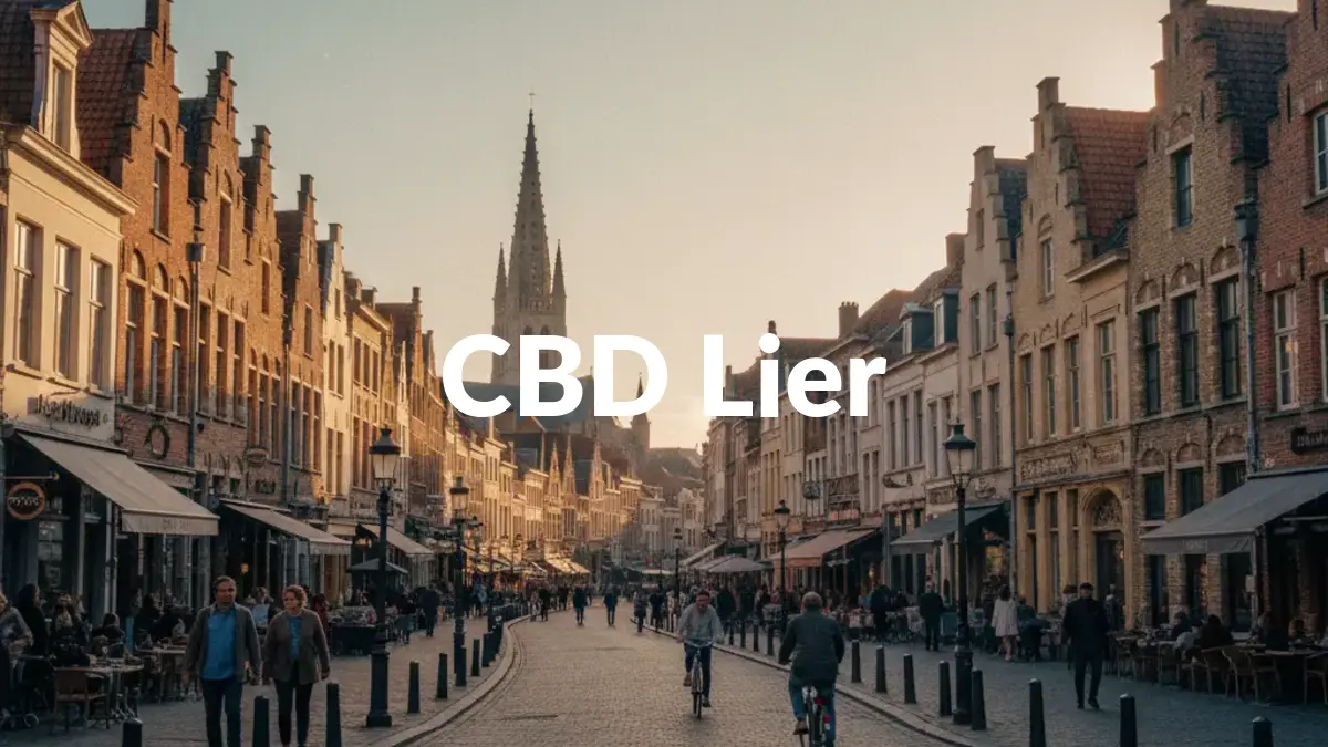 CBD Lier - Acheter du CBD à Lier