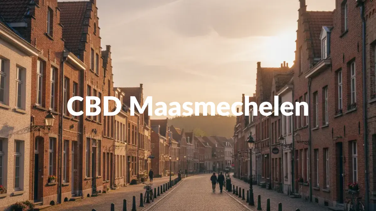 CBD Maasmechelen - Acheter du CBD à Maasmechelen