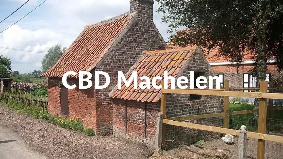 CBD Machelen - Acheter du CBD à Machelen