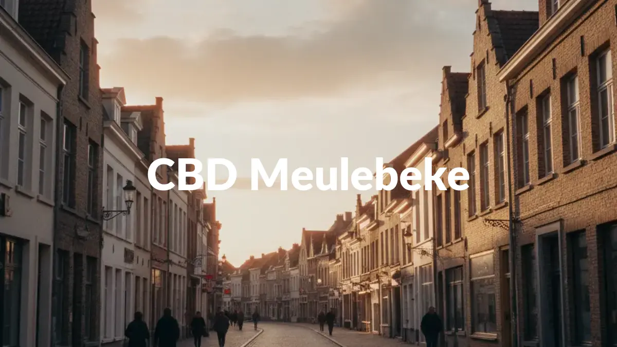 CBD Meulebeke - Acheter du CBD à Meulebeke