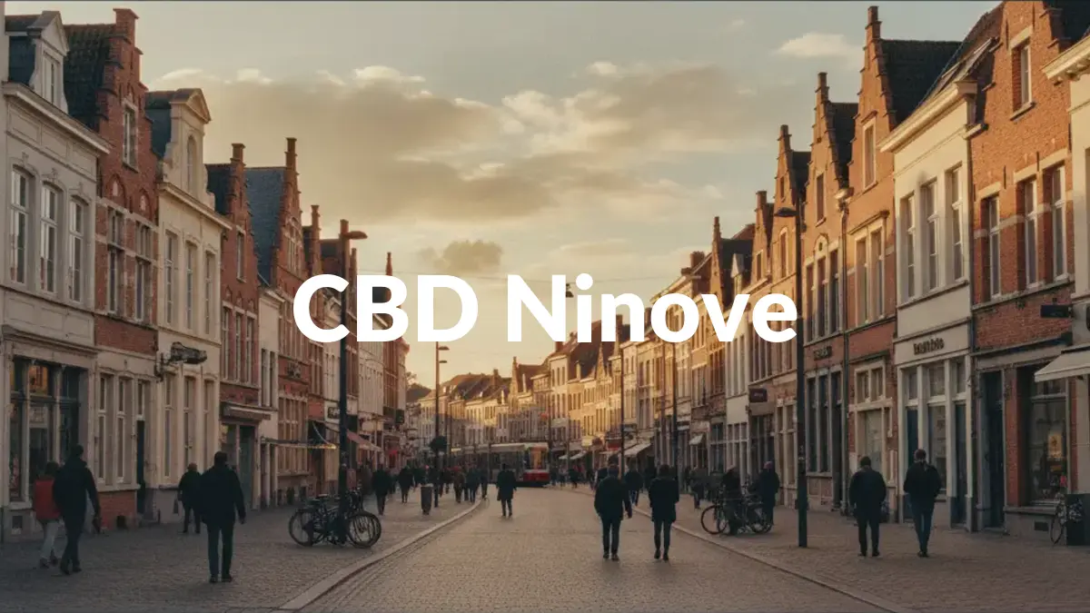 CBD Ninove - Acheter du CBD à Ninove