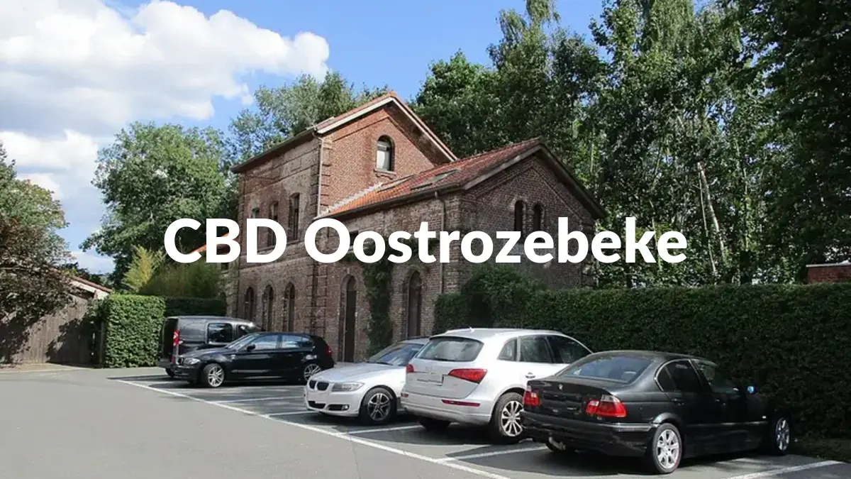 CBD Oostrozebeke - Acheter du CBD à Oostrozebeke