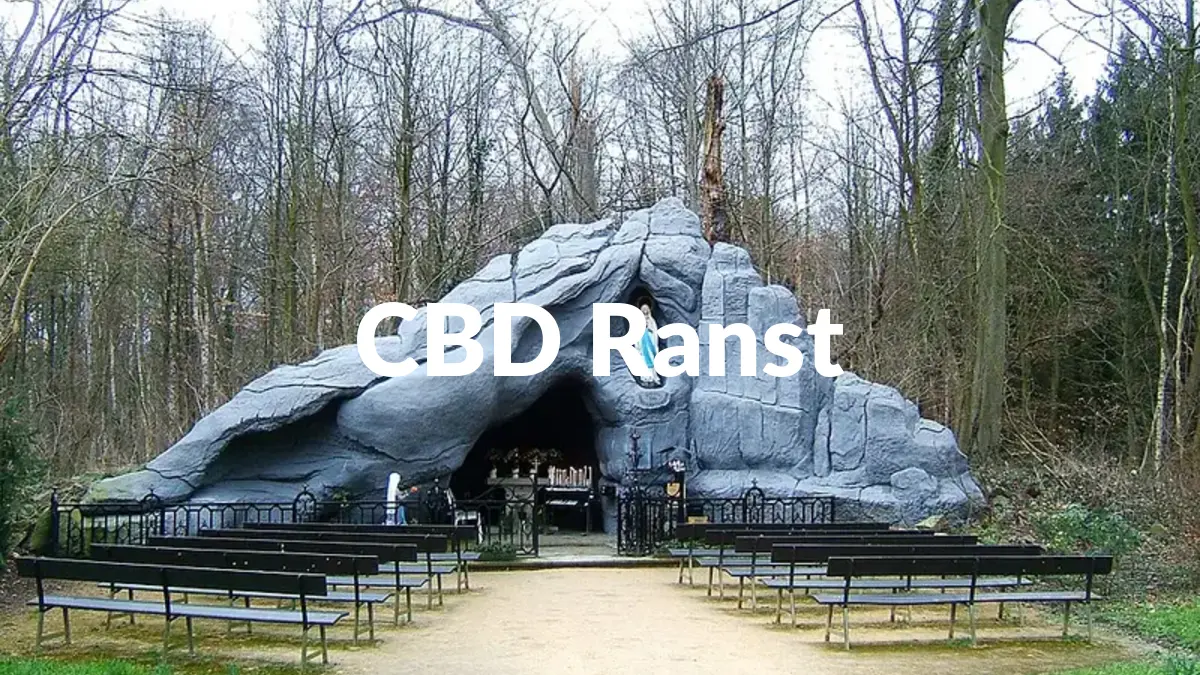 CBD Ranst - Acheter du CBD à Ranst