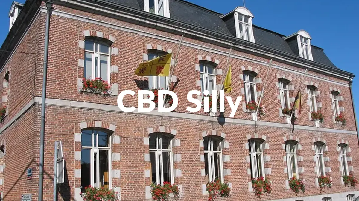 CBD Silly - Acheter du CBD à Silly