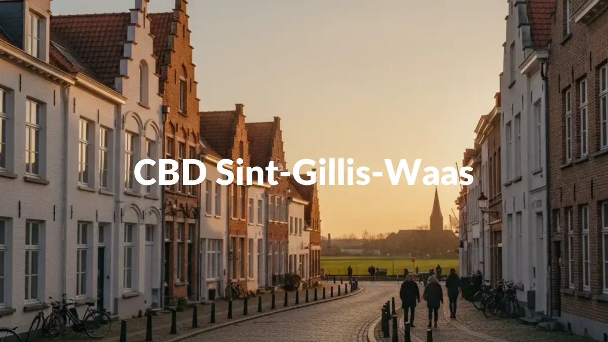 CBD Sint-Gillis-Waas - Acheter du CBD à Sint-Gillis-Waas