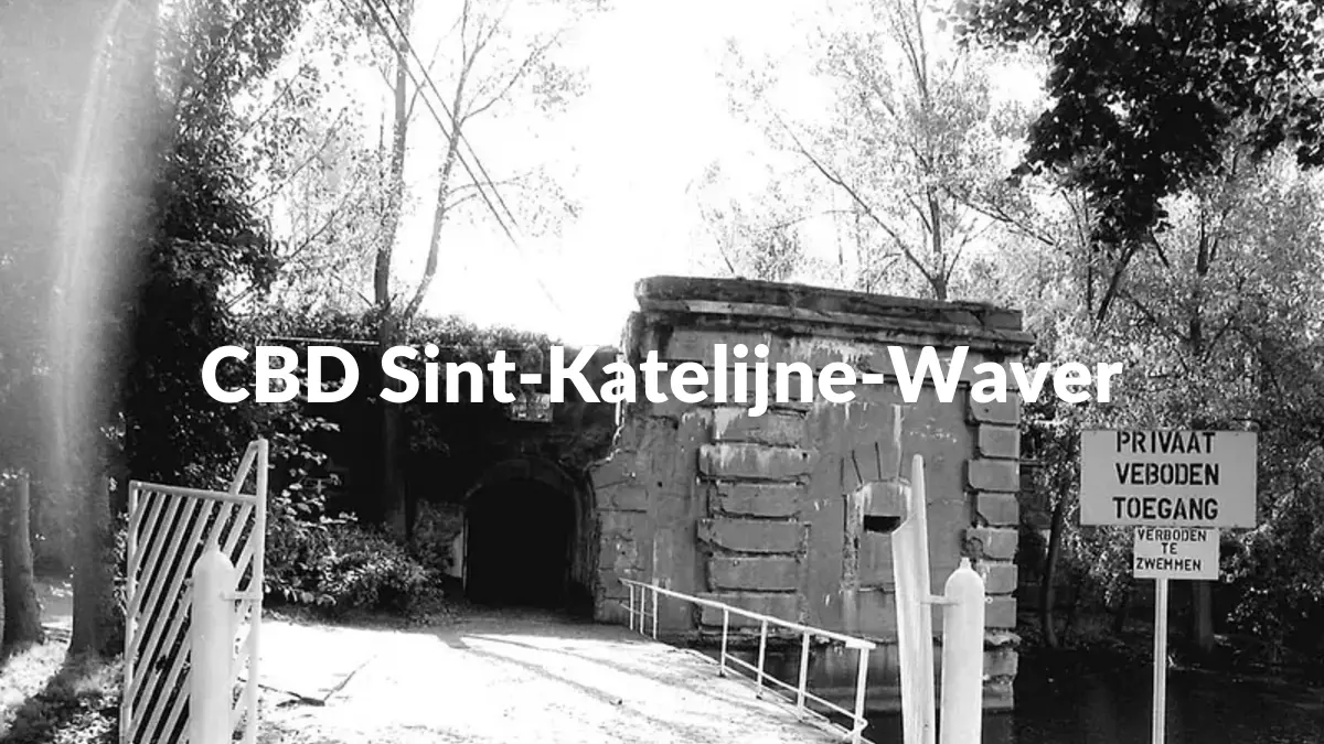 CBD Sint-Katelijne-Waver - Acheter du CBD à Sint-Katelijne-Waver