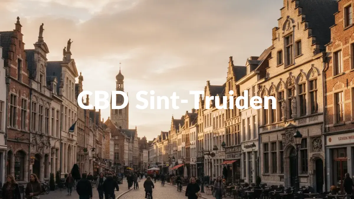 CBD Sint-Truiden - Acheter du CBD à Sint-Truiden