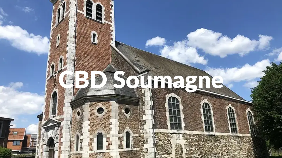 CBD Soumagne - Acheter du CBD à Soumagne