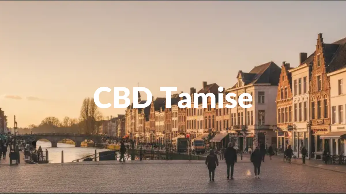 CBD Tamise - Acheter du CBD à Tamise