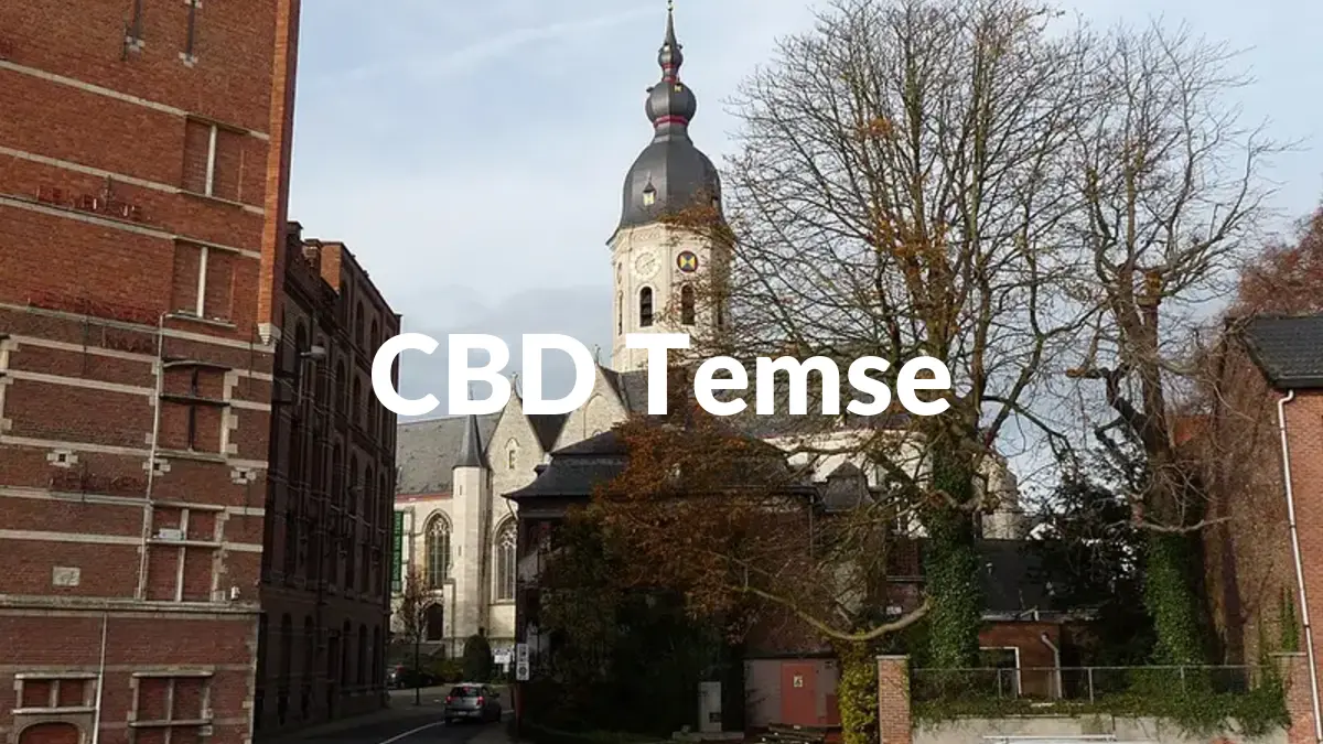 CBD Temse - Acheter du CBD à Temse