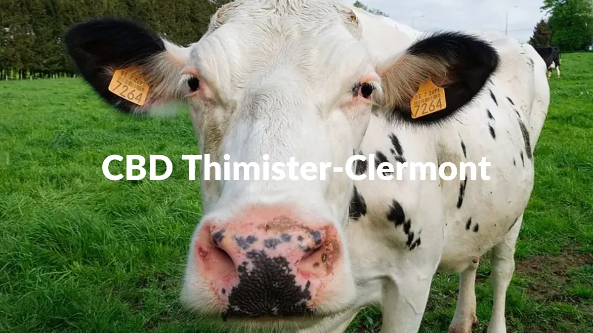 CBD Thimister-Clermont - Acheter du CBD à Thimister-Clermont