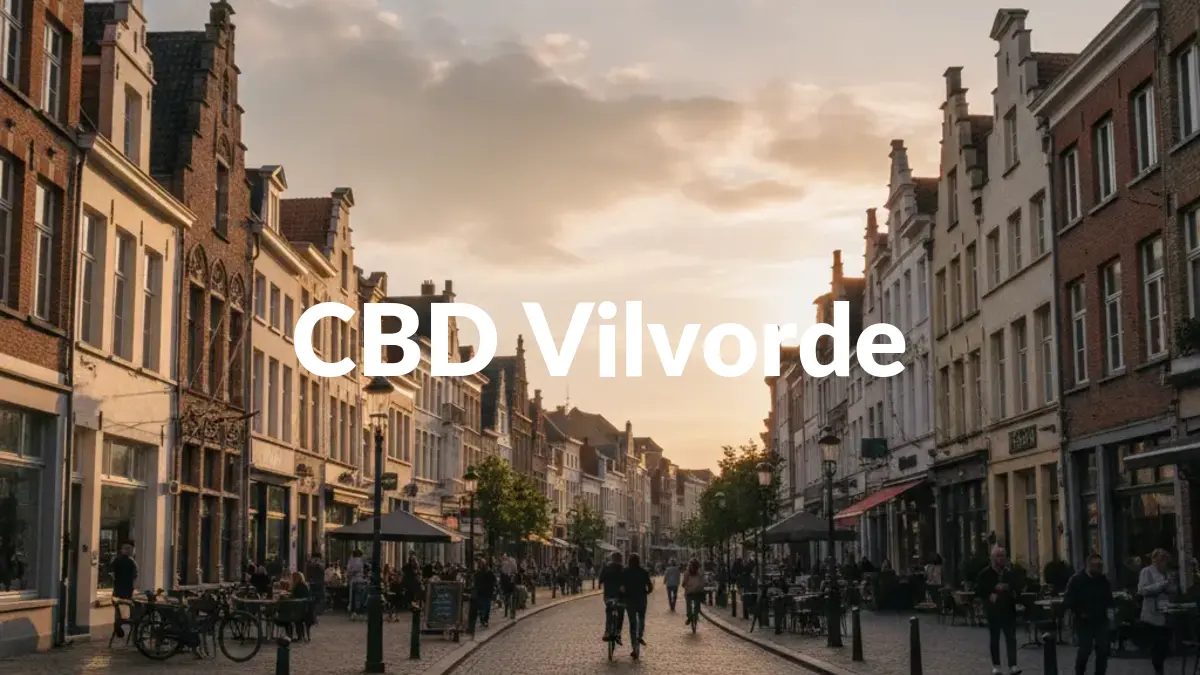 CBD Vilvorde - Acheter du CBD à Vilvorde