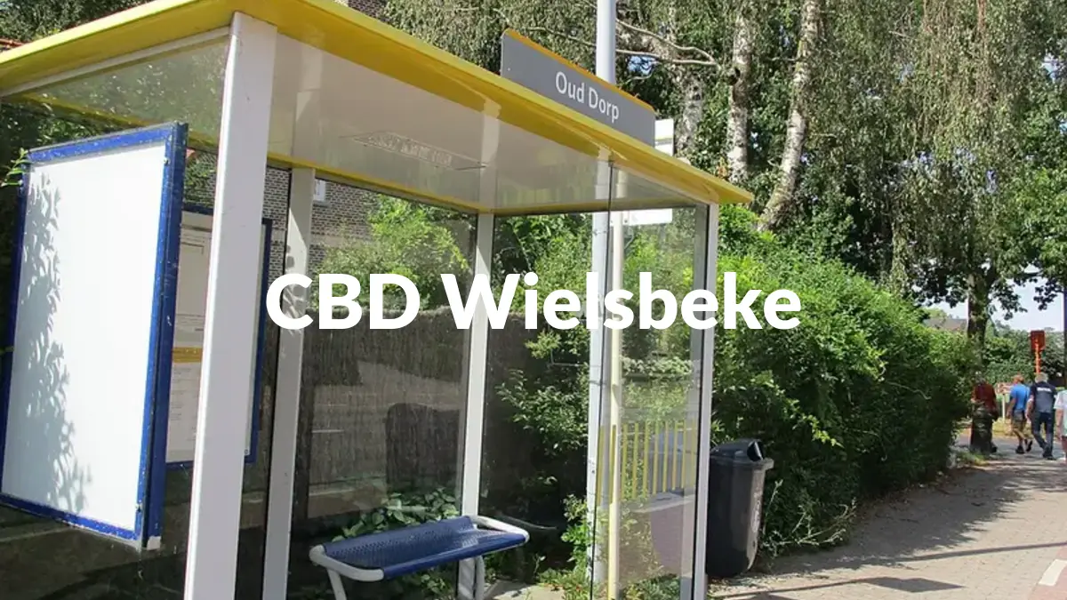 CBD Wielsbeke - Acheter du CBD à Wielsbeke