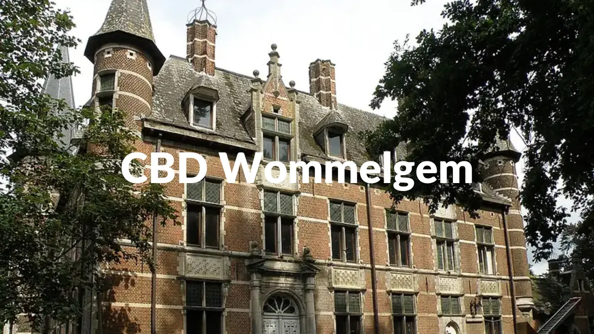CBD Wommelgem - Acheter du CBD à Wommelgem